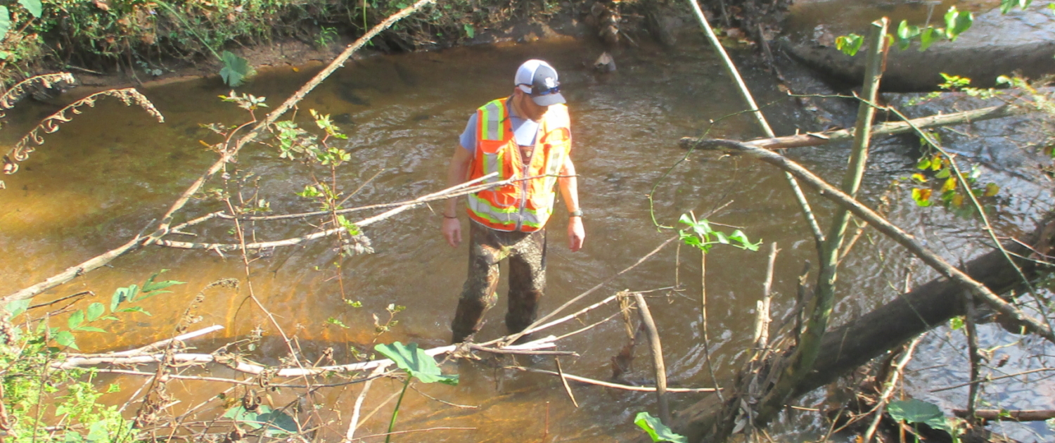 Site 22 Pebble Count